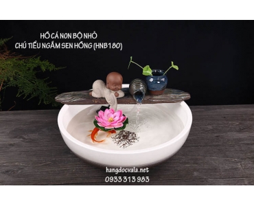 HỒ CÁ NON BỘ NHỎ-CHÚ TIỂU NGẮM SEN HỒNG