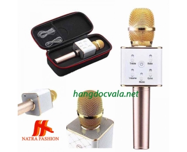 Micro kèm loa chính hãng
